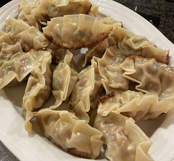 Gyoza